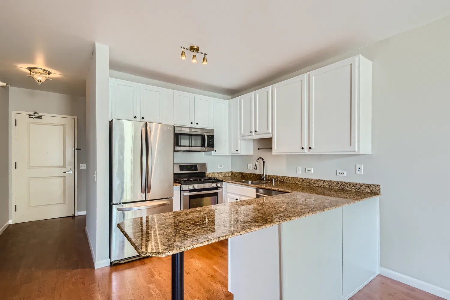 645 N Kingsbury Street 1203