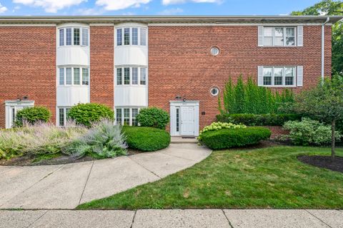 909 GREENWOOD Street 1C Evanston IL 60201