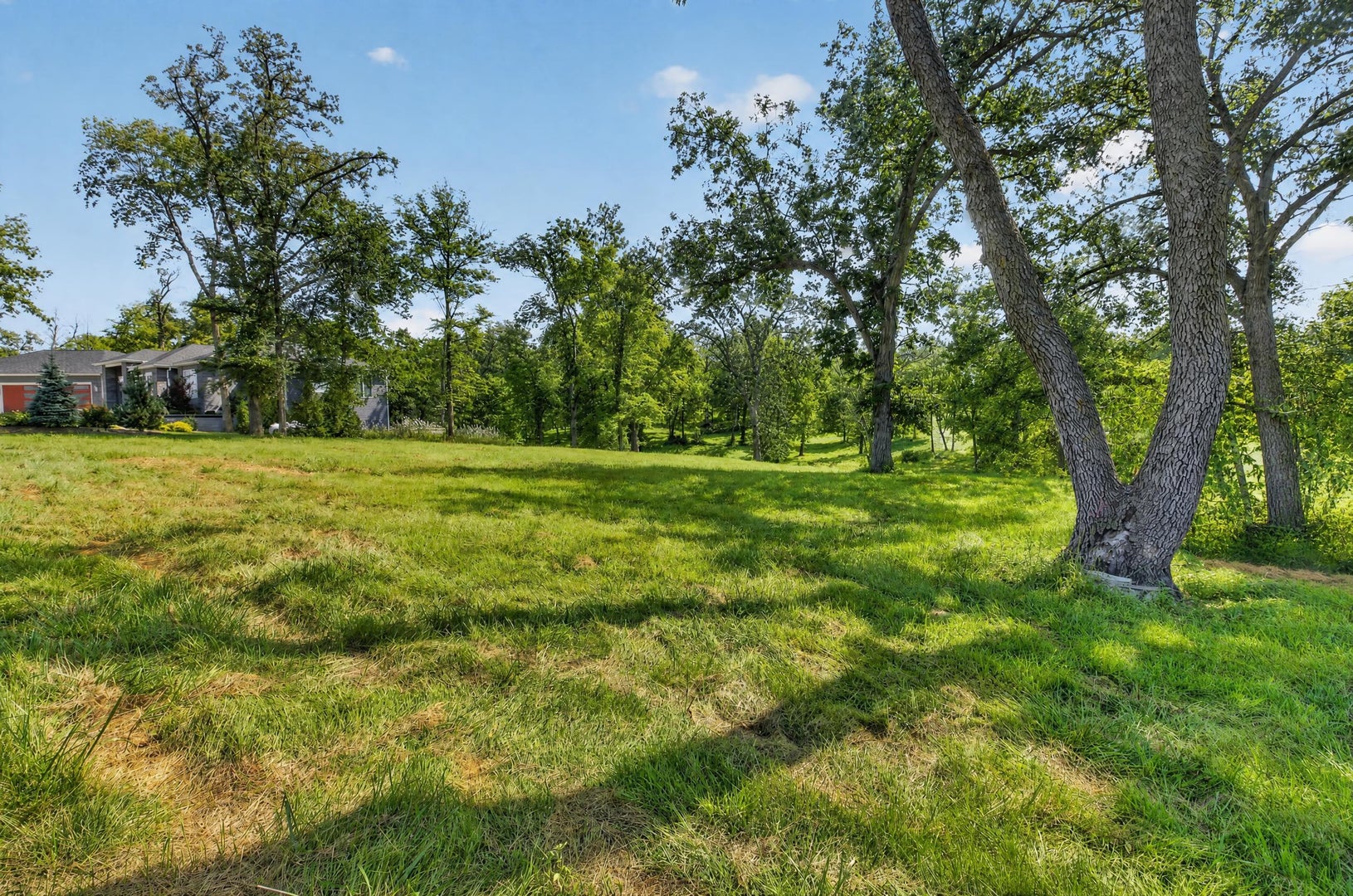 1650 Timberlane Road