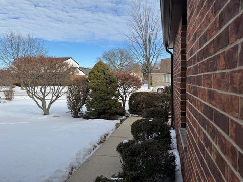 Tiny photo for 250 Anita Street, Des Plaines, IL 60016 (MLS # 12583432)