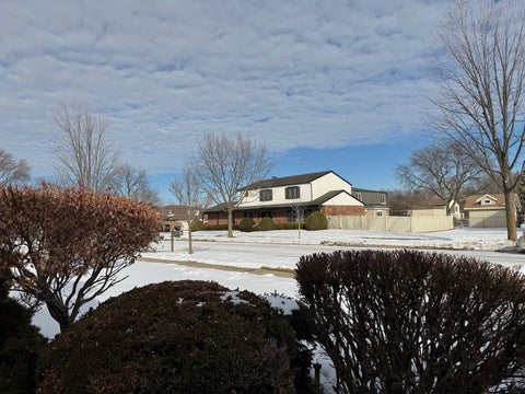 Tiny photo for 250 Anita Street, Des Plaines, IL 60016 (MLS # 12583432)