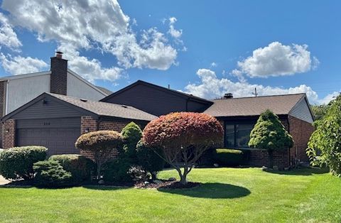 250 Anita Street Des Plaines IL 60016