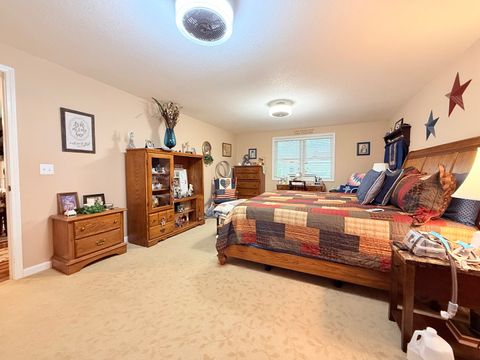 Tiny photo for 220 E ROSE Street, Cave In Rock, IL 62919 (MLS # 12679567)