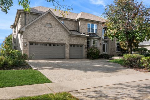 1228 S Leo Court Palatine IL 60067