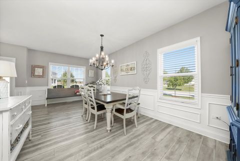 Tiny photo for 405 Locust Lane, Peotone, IL 60468 (MLS # 12506551)