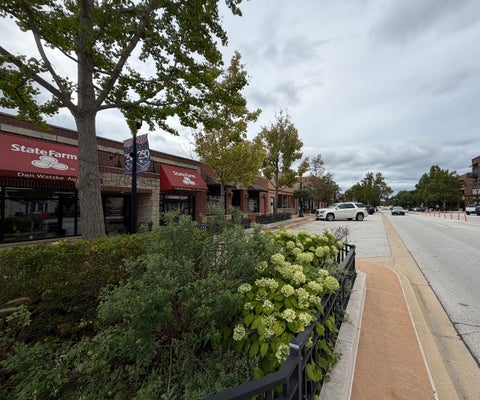 Tiny photo for 1111 Burlington Avenue #422, Lisle, IL 60532 (MLS # 12766931)