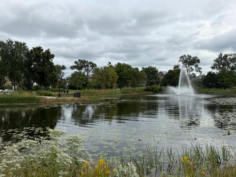 Tiny photo for 1111 Burlington Avenue #422, Lisle, IL 60532 (MLS # 12766931)