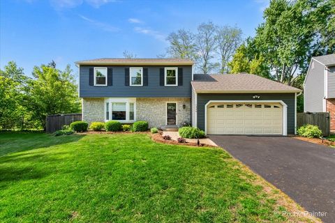 1324 Lancaster Avenue St. Charles IL 60174