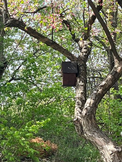 Tiny photo for 192 Brompton Lane #B, Sugar Grove, IL 60554 (MLS # 12549831)