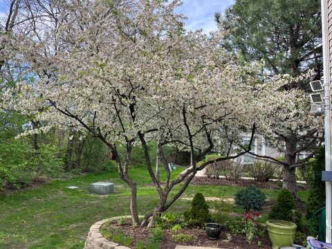 Tiny photo for 192 Brompton Lane #B, Sugar Grove, IL 60554 (MLS # 12549831)