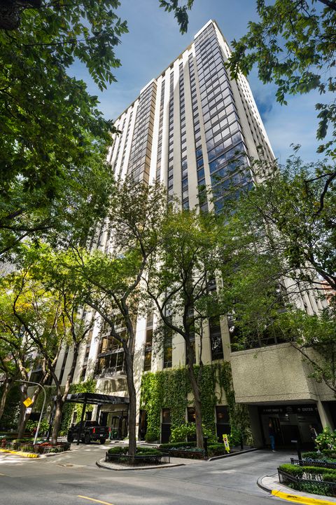 Photo of 100 E Bellevue Place #5E, Chicago, IL 60611 (MLS # 12491119)
