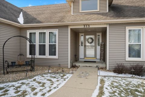 Tiny photo for 313 Carrie Court, North Aurora, IL 60542 (MLS # 12566297)