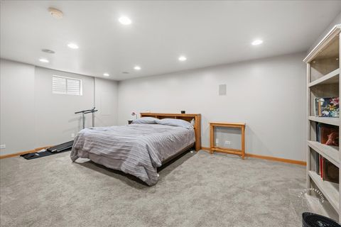 Tiny photo for 313 Carrie Court, North Aurora, IL 60542 (MLS # 12566297)