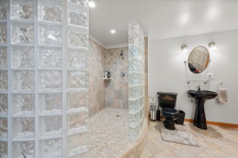 Tiny photo for 313 Carrie Court, North Aurora, IL 60542 (MLS # 12566297)