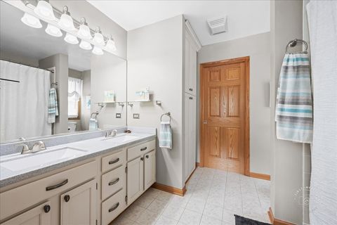 Tiny photo for 313 Carrie Court, North Aurora, IL 60542 (MLS # 12566297)