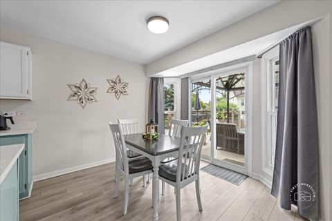 Tiny photo for 313 Carrie Court, North Aurora, IL 60542 (MLS # 12566297)