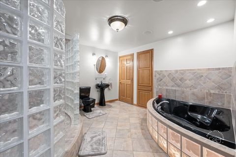 Tiny photo for 313 Carrie Court, North Aurora, IL 60542 (MLS # 12566297)