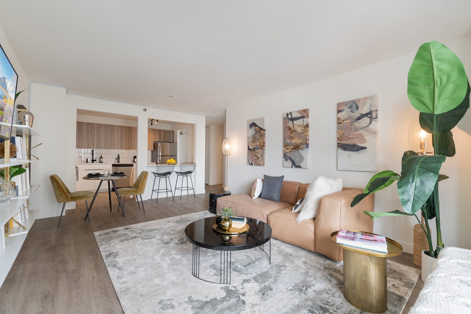 1250 N LaSalle Street 511
