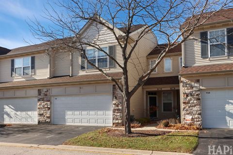 750 Dillon Court 750 Grayslake IL 60030