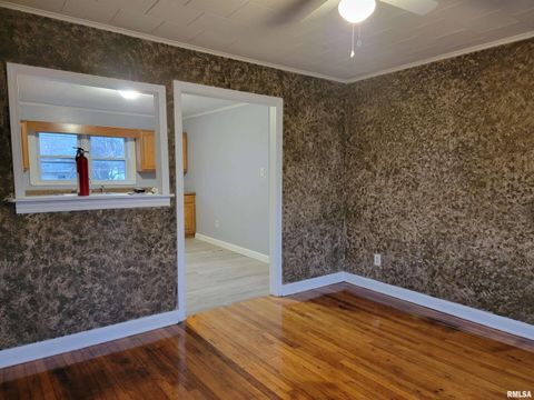 Tiny photo for 904 W Linden St Street, Carbondale, IL 62901 (MLS # EB460720)