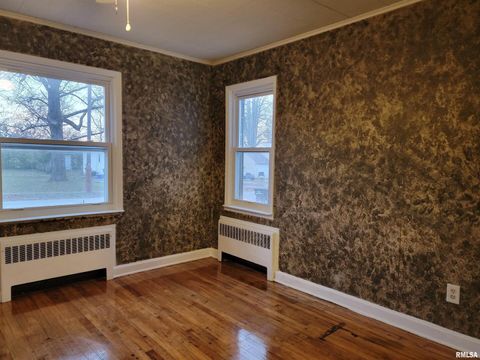 Tiny photo for 904 W Linden St Street, Carbondale, IL 62901 (MLS # EB460720)