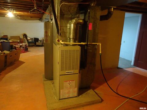 Tiny photo for 26004 2000 N County Road, Annawan, IL 61234 (MLS # QC4267160)