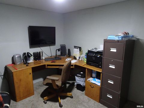 Tiny photo for 26004 2000 N County Road, Annawan, IL 61234 (MLS # QC4267160)