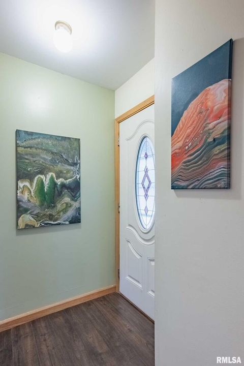 Tiny photo for 192 AMBER Lane, Carbondale, IL 62902 (MLS # QC4266925)