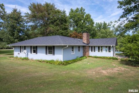 Tiny photo for 192 AMBER Lane, Carbondale, IL 62902 (MLS # QC4266925)