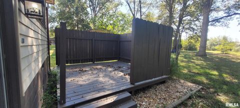 Tiny photo for 18065 E Illinois Highway 142 Highway, Opdyke, IL 62872 (MLS # EB460025)