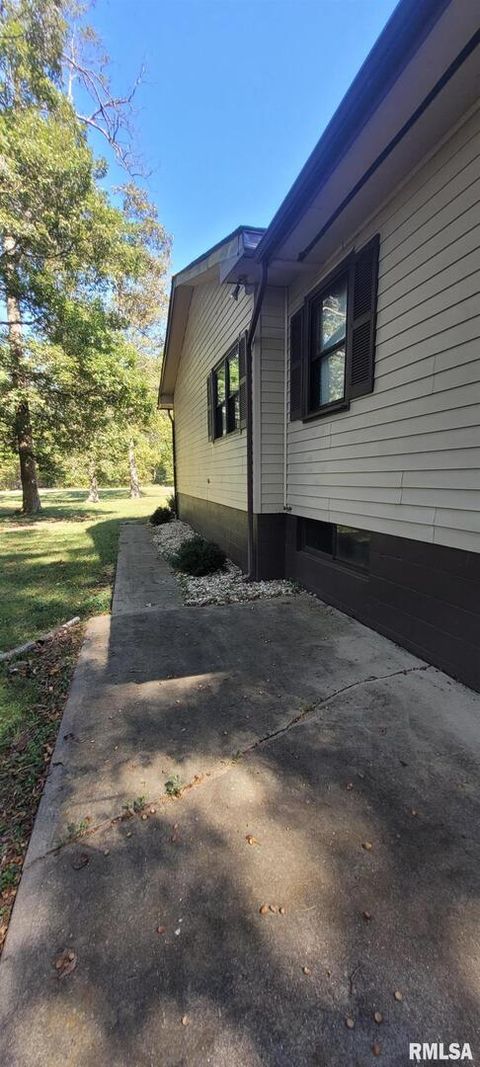 Tiny photo for 18065 E Illinois Highway 142 Highway, Opdyke, IL 62872 (MLS # EB460025)