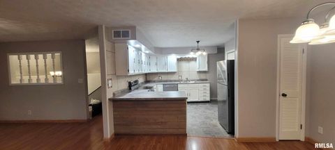 Tiny photo for 18065 E Illinois Highway 142 Highway, Opdyke, IL 62872 (MLS # EB460025)