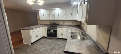 Tiny photo for 18065 E Illinois Highway 142 Highway, Opdyke, IL 62872 (MLS # EB460025)