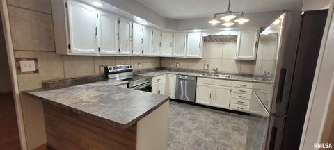 Tiny photo for 18065 E Illinois Highway 142 Highway, Opdyke, IL 62872 (MLS # EB460025)