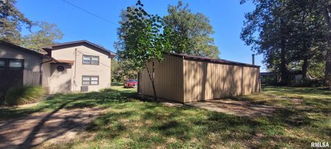 Tiny photo for 18065 E Illinois Highway 142 Highway, Opdyke, IL 62872 (MLS # EB460025)