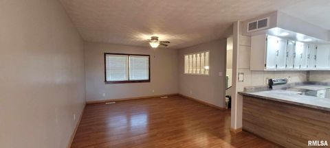 Tiny photo for 18065 E Illinois Highway 142 Highway, Opdyke, IL 62872 (MLS # EB460025)