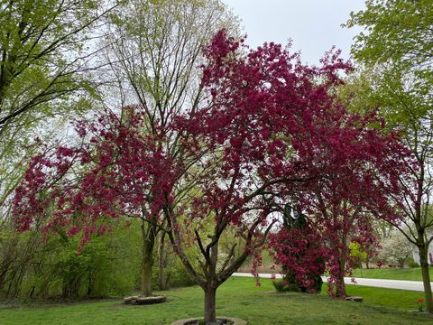 Tiny photo for 5544 Oak Grove Drive, Long Grove, IL 60047 (MLS # 12672610)