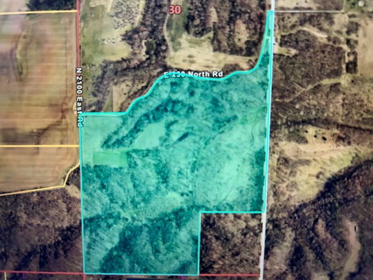 COUNTY RD 900 N, GEORGETOWN, IL 61846 - Image 62a7fb92b5cf5f3dab647ca8c8de386b/92071398