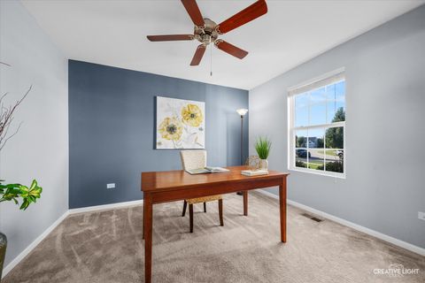 Tiny photo for 3928 Kristen Court, Plano, IL 60545 (MLS # 12496632)