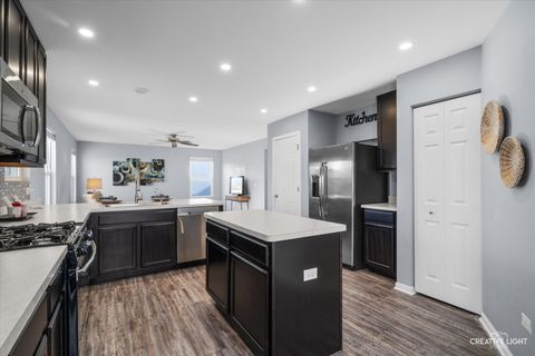 Tiny photo for 3928 Kristen Court, Plano, IL 60545 (MLS # 12496632)