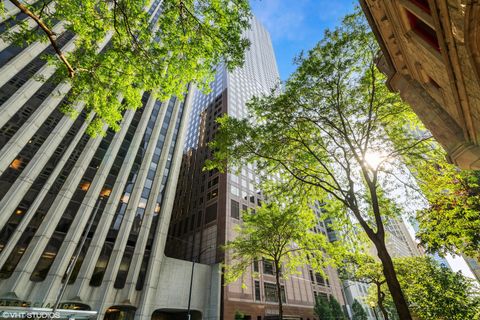 161 E Chicago Avenue 53H Chicago IL 60611