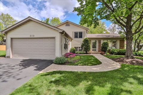 818 Indigo Court Lake Zurich IL 60047