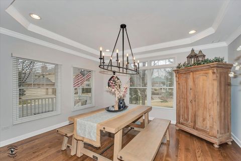 Tiny photo for 10039 Croft Lane, Frankfort, IL 60423 (MLS # 12571866)