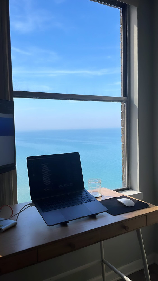 6157 N Sheridan Road 17E