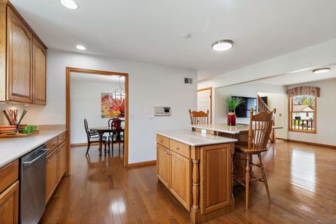 Tiny photo for 227 Lincoln Street, Schaumburg, IL 60194 (MLS # 12609729)