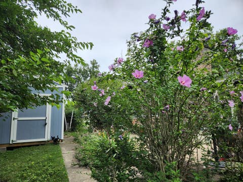 Tiny photo for 8548 40th Street, Lyons, IL 60534 (MLS # 12722317)