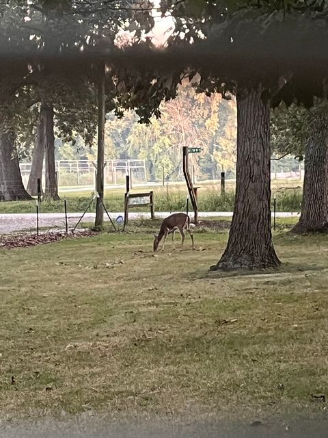 Tiny photo for 2701 E County Township Road 121, Sheldon, IL 60966 (MLS # 12574451)