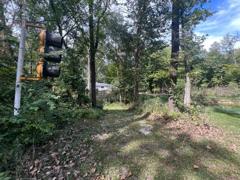 Tiny photo for 2701 E County Township Road 121, Sheldon, IL 60966 (MLS # 12574451)