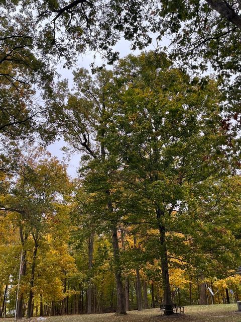 Tiny photo for 2701 E County Township Road 121, Sheldon, IL 60966 (MLS # 12574451)