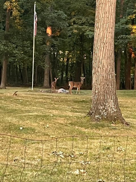 Tiny photo for 2701 E County Township Road 121, Sheldon, IL 60966 (MLS # 12574451)